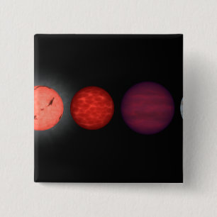 Die Wiedergabe eines Künstlers, die braune Zwerge Button
