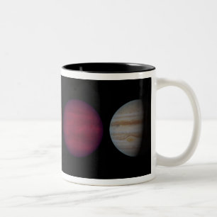 Die Wiedergabe eines Künstlers, die braune Zwerge Zweifarbige Tasse