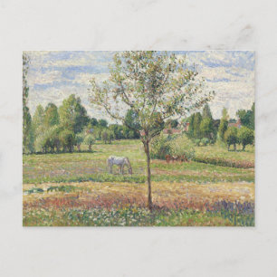 Die Wiese mit grauem Pferd, Eragny, Ölmalerei Postkarte