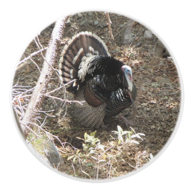 Die wilde Türkei, die für die Damen Strutting ist Keramikknauf (Vorderseite)