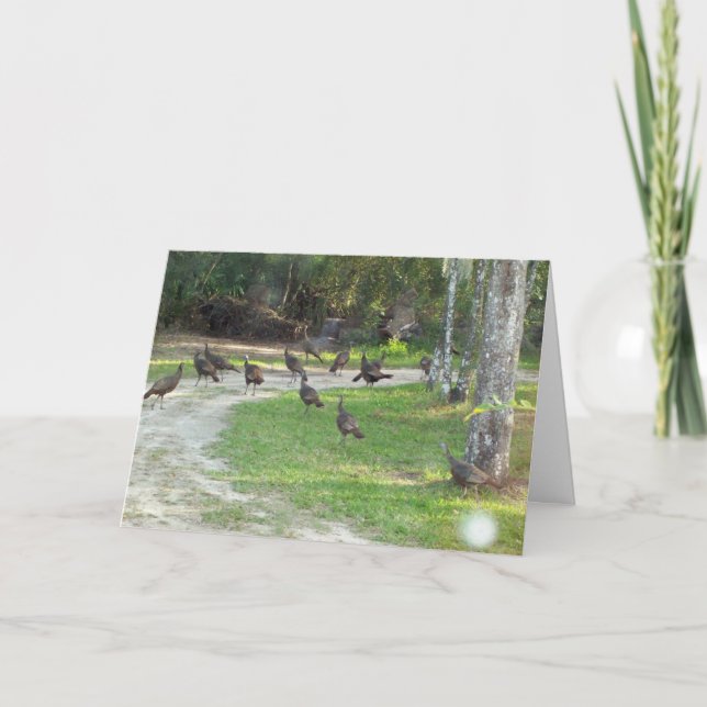 Die wilde Türkei Feiertagskarte (Vorderseite)