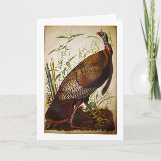Die wilde Türkei, John James Audubon Karte (Vorderseite)