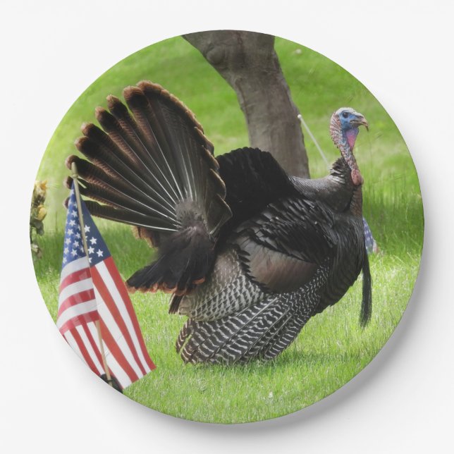 Die wilde Türkei mit amerikanischer Flagge Pappteller (Vorderseite)