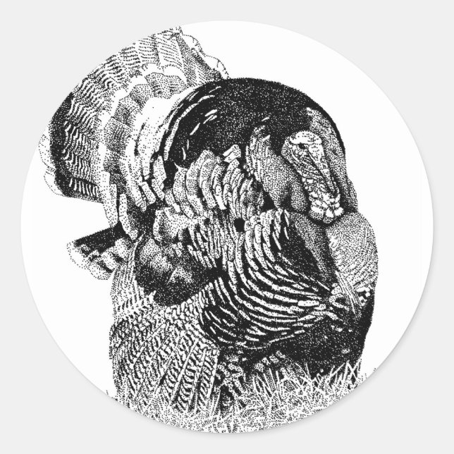 Die wilde Türkei Runder Aufkleber (Vorderseite)