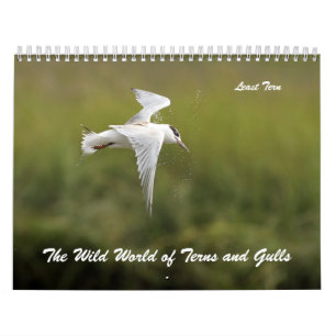 Die wilde Welt der Seeschwalben und der Möven Kalender