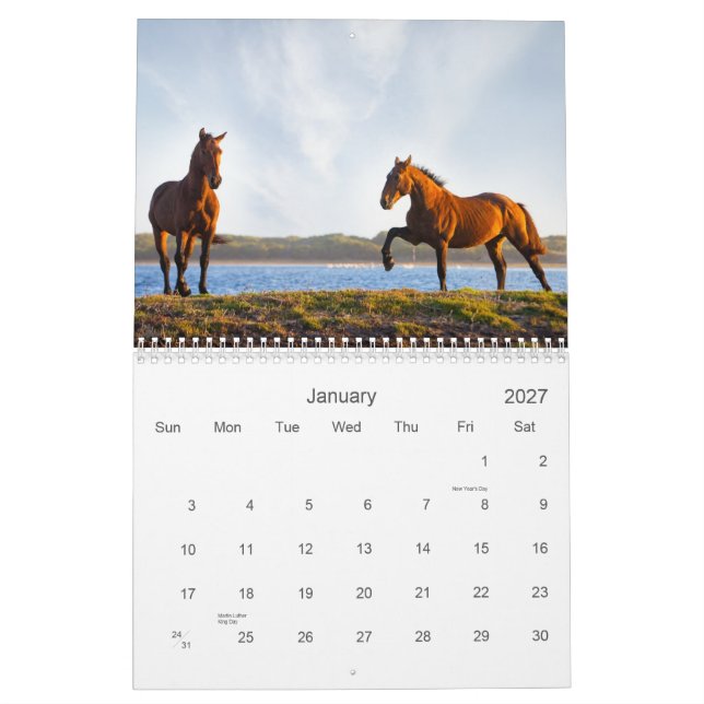 Die wilden kalender (Jan 2027)