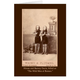 Die wilden Männer von Borneo auf Karten, Postkarte