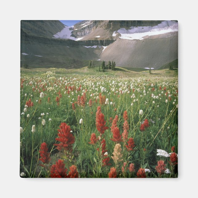 DIE WILDERNISSE VON TIMPANOGOS, MAGNET (Vorne)