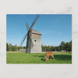 Die Windmühle und eine Ziege - Postkarte