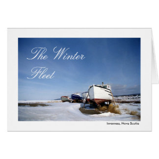 Die Winterflotte