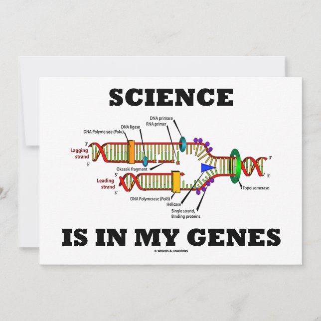 Die Wissenschaft steckt in meinen Genen (DNA-Repli (Vorderseite)