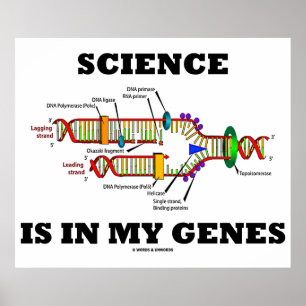 Die Wissenschaft steckt in meinen Genen (DNA-Repli Poster