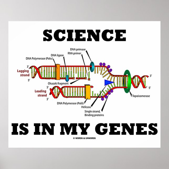 Die Wissenschaft steckt in meinen Genen (DNA-Repli Poster (Vorne)