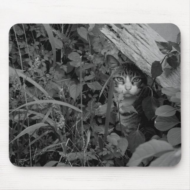 Die Wohnung eines Wanderers Mousepad (Vorne)