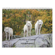 Die Wölfe Kanadas (Kalender)