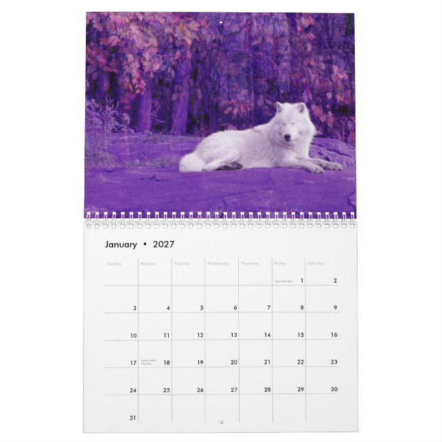 Die Wölfe Kanadas (Kalender) Kalender (Jan 2027)