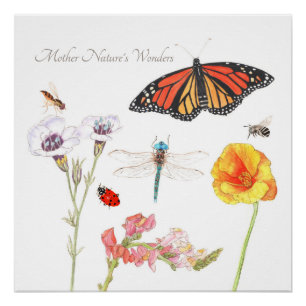 Die Wunder der Mutter Natur Poster