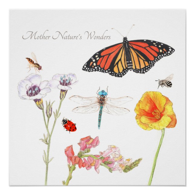 Die Wunder der Mutter Natur Poster (Vorderseite)