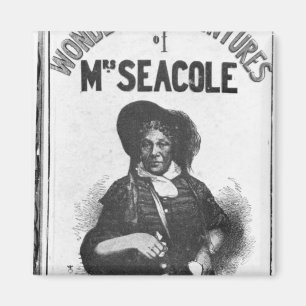 Die wunderbaren Abenteuer von Frau Seacole' Magnet