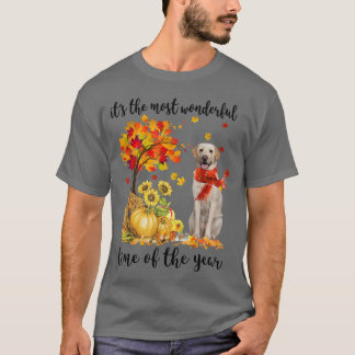 Die wunderbarste Herbstzeit Labrador Pumpki T-Shirt