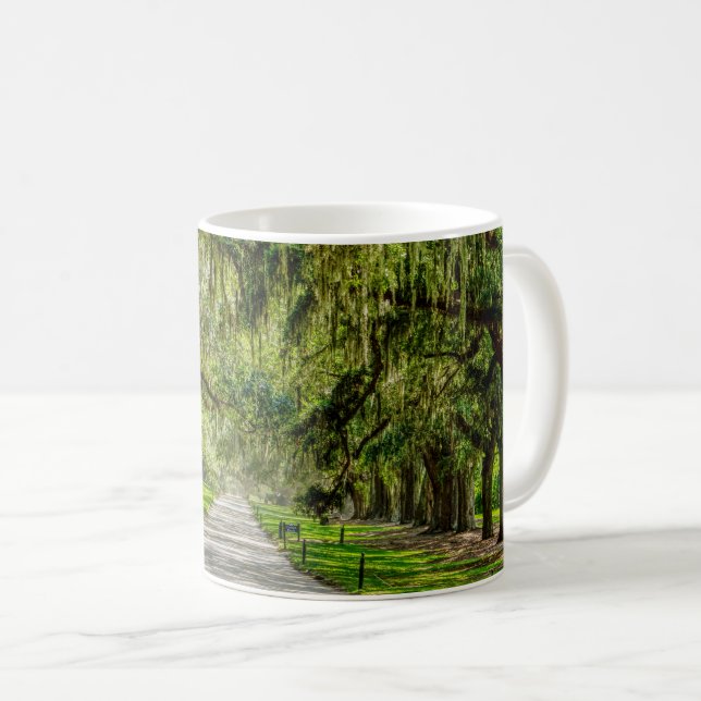 Die wunderschöne Avenue mit der Tasse des Eichenka (VorderseiteRechts)