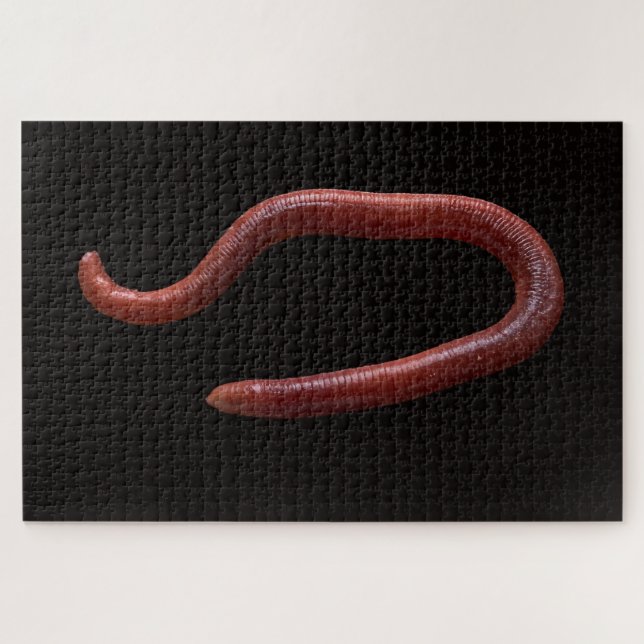 Die Wurmsammlung (Horizontal)