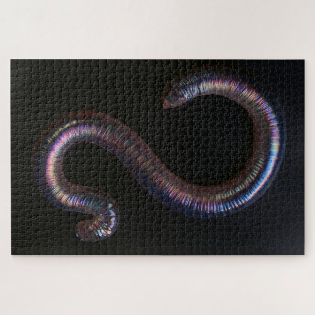 Die Wurmsammlung (Horizontal)