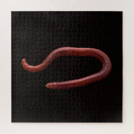 Die Wurmsammlung