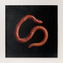 Die Wurmsammlung