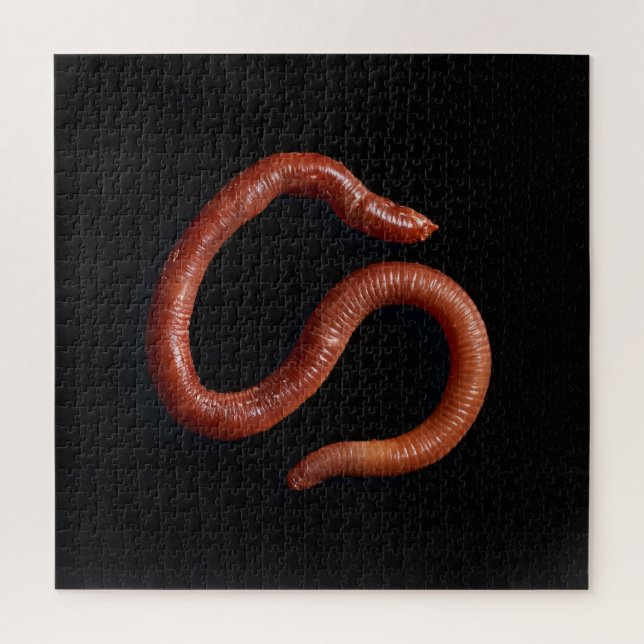 Die Wurmsammlung (Vertikal)