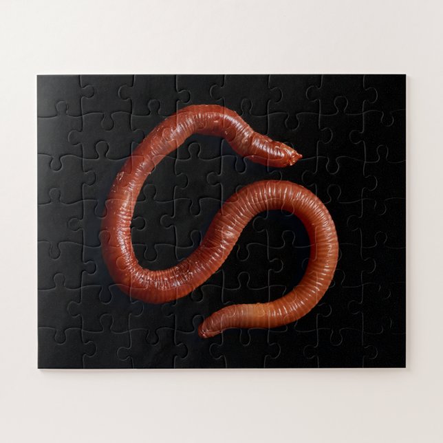 Die Wurmsammlung (Horizontal)
