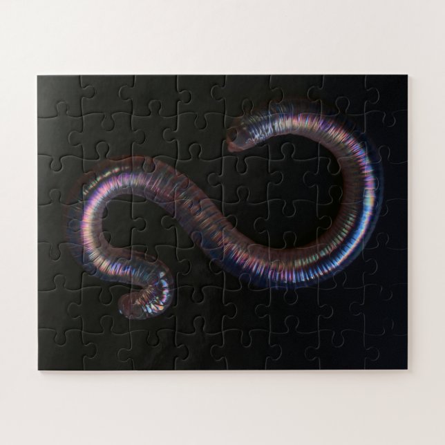 Die Wurmsammlung (Horizontal)