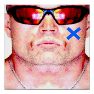 Die x-Revolution durch X Poster