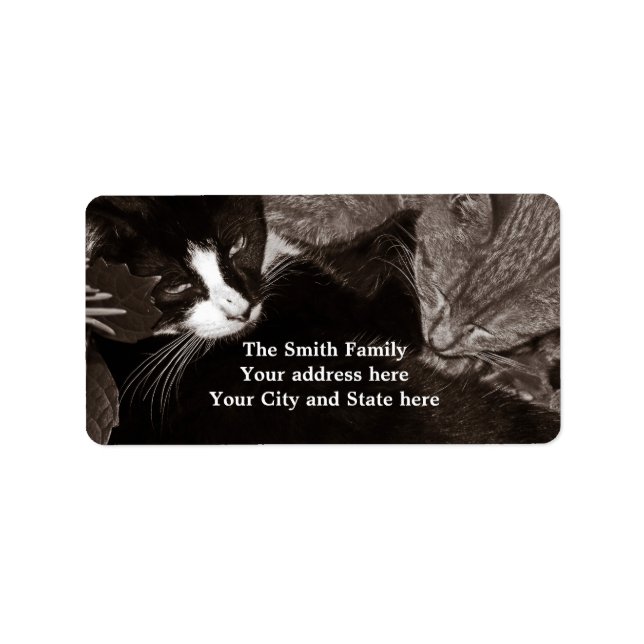 Die Yin Yang Cats Adressaufkleber (Vorne)