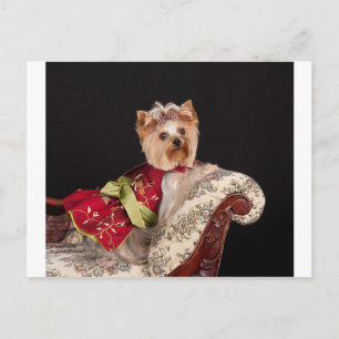 Die Yorkie Queen Postkarte