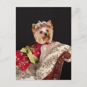 Die Yorkie Queen Postkarte