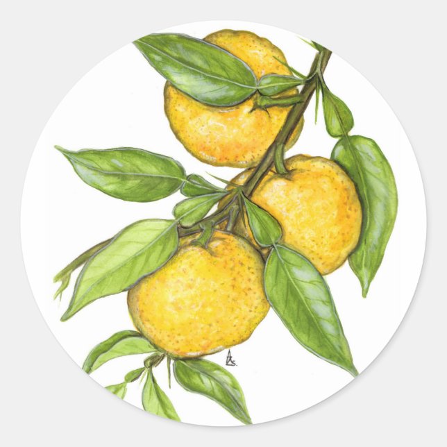Die Yuzu-Sammlung Runder Aufkleber (Vorderseite)