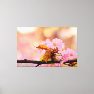 Die zärtliche Wärme der Blume von Sakura im Frühli Leinwanddruck