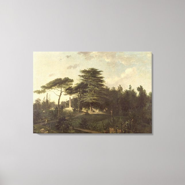 Die Zeder des Libanon im Jardin des Plantes Leinwanddruck (Vorderseite)