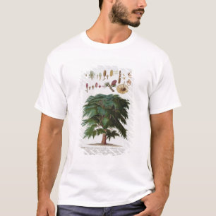Die Zeder, graviert von Johann Jakob Haid T-Shirt
