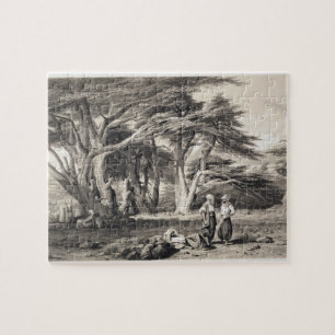 Die Zedern vom Libanon, graviert von Freeman