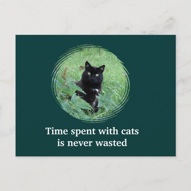 Die Zeit, die mit Katzen verbracht wird, wird niem Postkarte (Vorderseite)