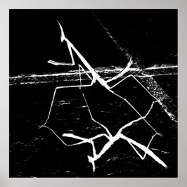 Die Zen-Mantis Poster