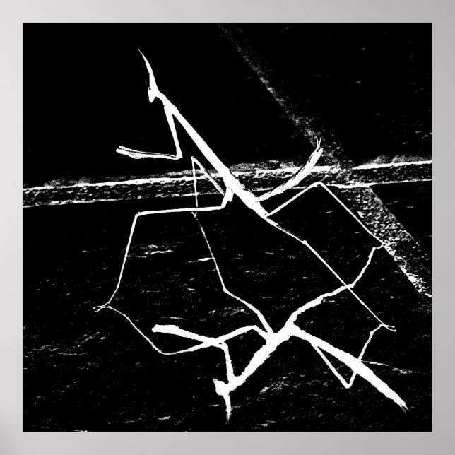 Die Zen-Mantis Poster (Vorne)