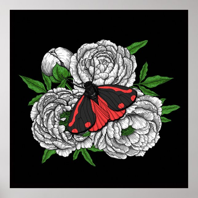 Die Zimtmotte Poster (Vorne)