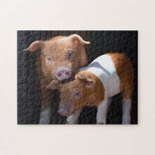 Die zwei Baby-Schweine