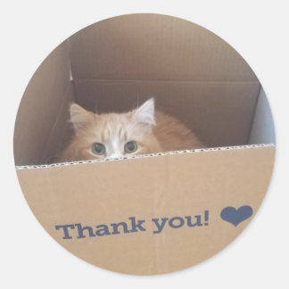 Diego, die Katze danke Ihnen Aufkleber