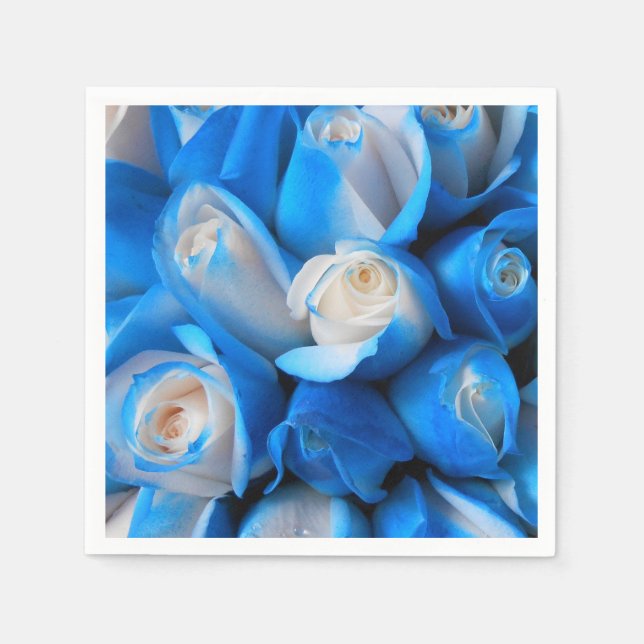 Diemudis Serviette (Vorderseite)