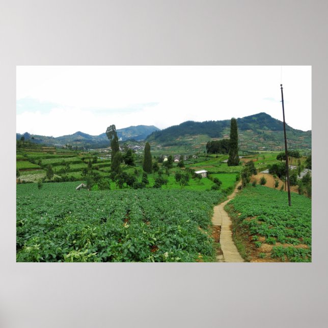 Dieng Farmland Poster (Vorne)