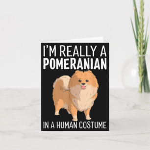 Dies ist ein menschliches Kostüm, ein Pomeranian-H Karte